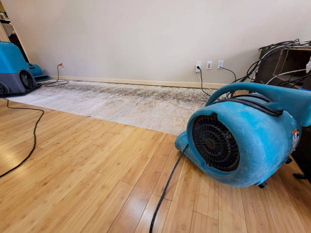 Professional Structural Drying technician working in Old Hickory, TN